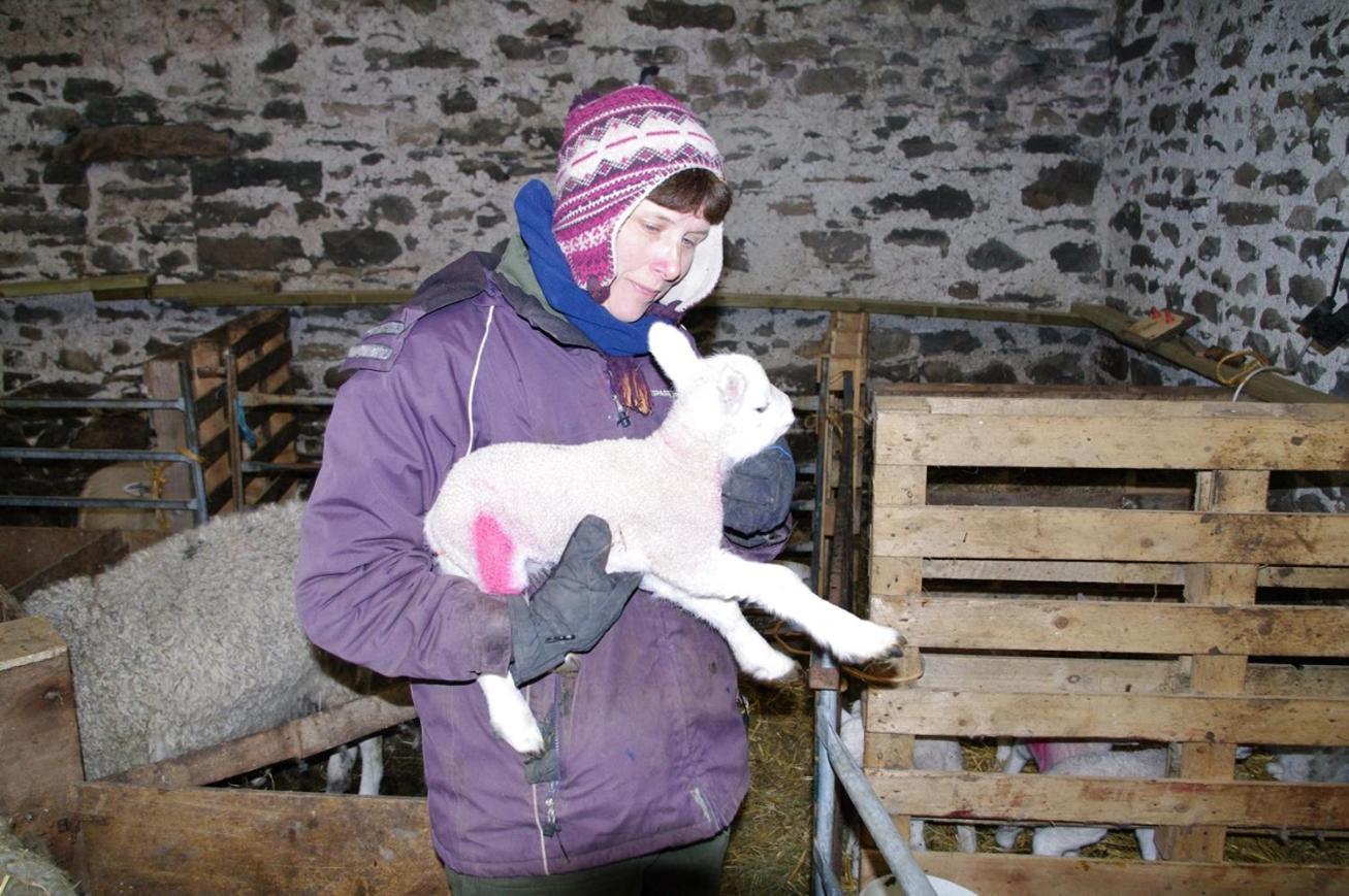 Willa Ullathorns Farm Kirkby Lonsdale Zewnętrze zdjęcie