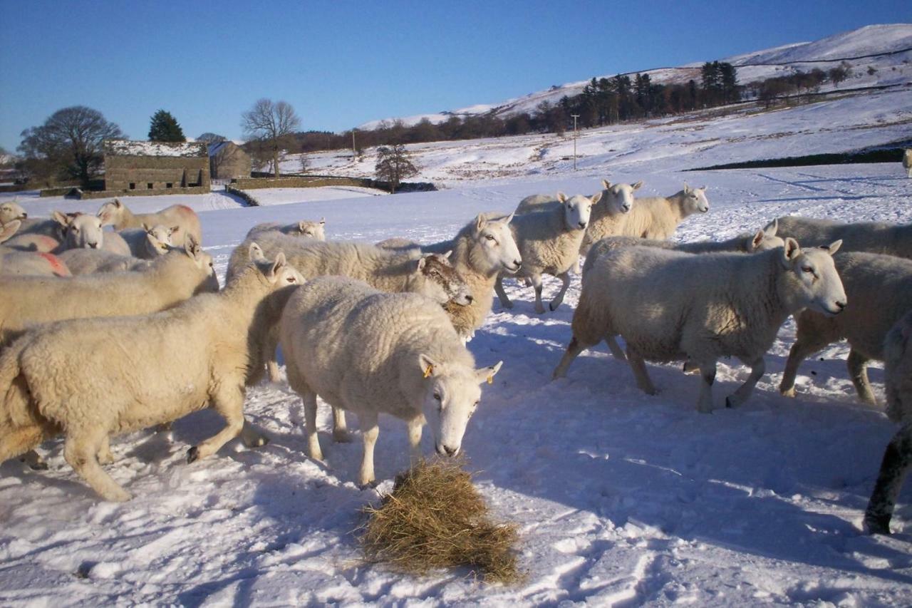 Willa Ullathorns Farm Kirkby Lonsdale Zewnętrze zdjęcie
